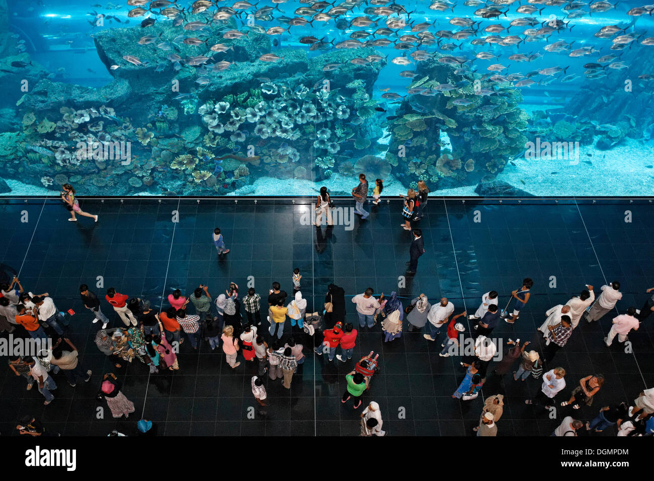 Visitors in front of Dubai Aquarium, Dubai Mall shopping centre, United Arab Emirates, Middle East, Asia Stock Photo