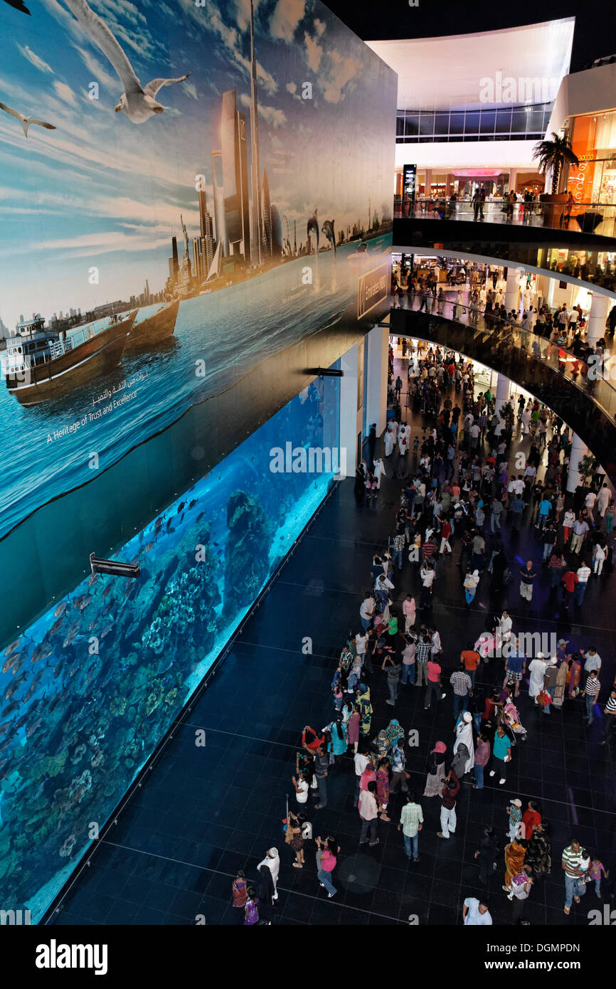 Dubai Aquarium, Dubai Mall shopping centre, United Arab Emirates, Middle East, Asia Stock Photo