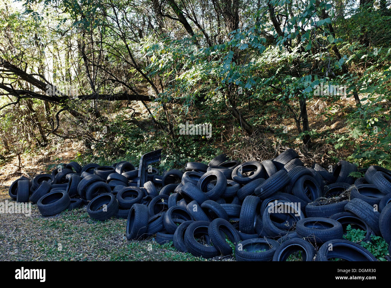 Wild dump with car tyres, Duisburg-Bruckhausen, Ruhr area, North Rhine-Westphalia Stock Photo