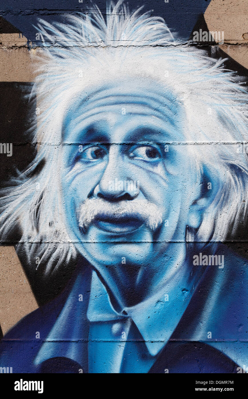 Albert Einstein, portrait, graffiti, street art, Rhine Park Duisburg, Duisburg-Hochfeld, Ruhr area, North Rhine-Westphalia Stock Photo