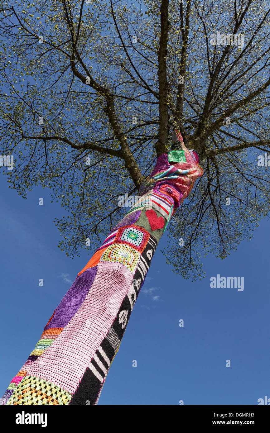 Knitted tree, guerrilla knitting, knit art, graffiti knitting, Düsseldorf, Rhineland, North Rhine-Westphalia, Germany Stock Photo