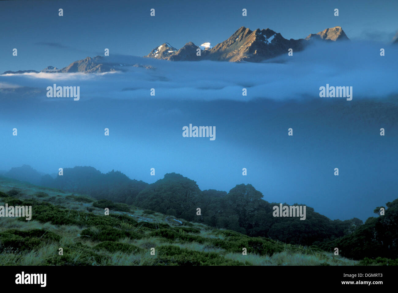 Fog off Mount Christina, Key Summit, Routeburn Track, Fiordland National Park, South Island, New ...
