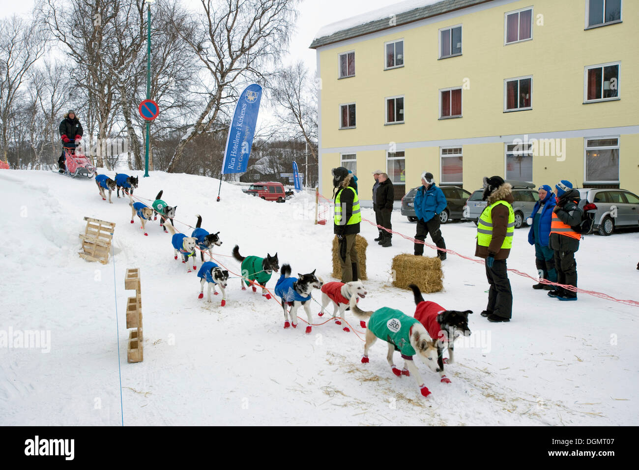 Musher reaching the checkpoint at the Finnmarksløpet, northernmost sled dog race in the world, Finnmark, Lapland, Norway Stock Photo