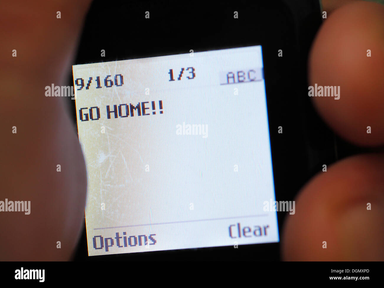 Mobile phone displaying the text message 'GO HOME'. Stock Photo