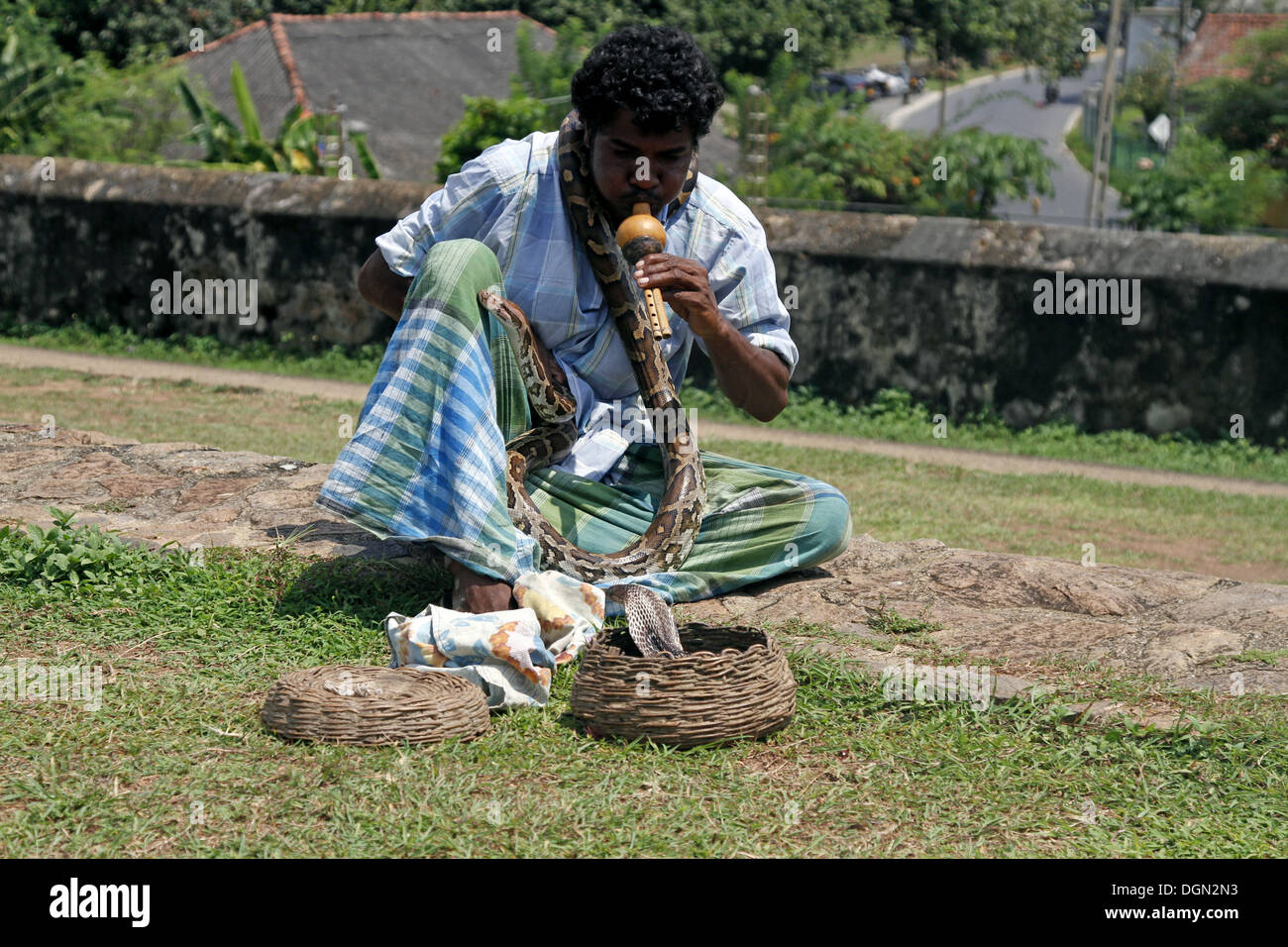 KING COBRA SNAKE CHARMER & PYTHON GALLE SRI LANKA 17 March 2013 Stock ...