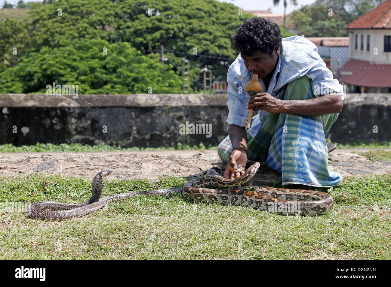 KING COBRA SNAKE CHARMER & PYTHON GALLE SRI LANKA 17 March 2013 Stock ...