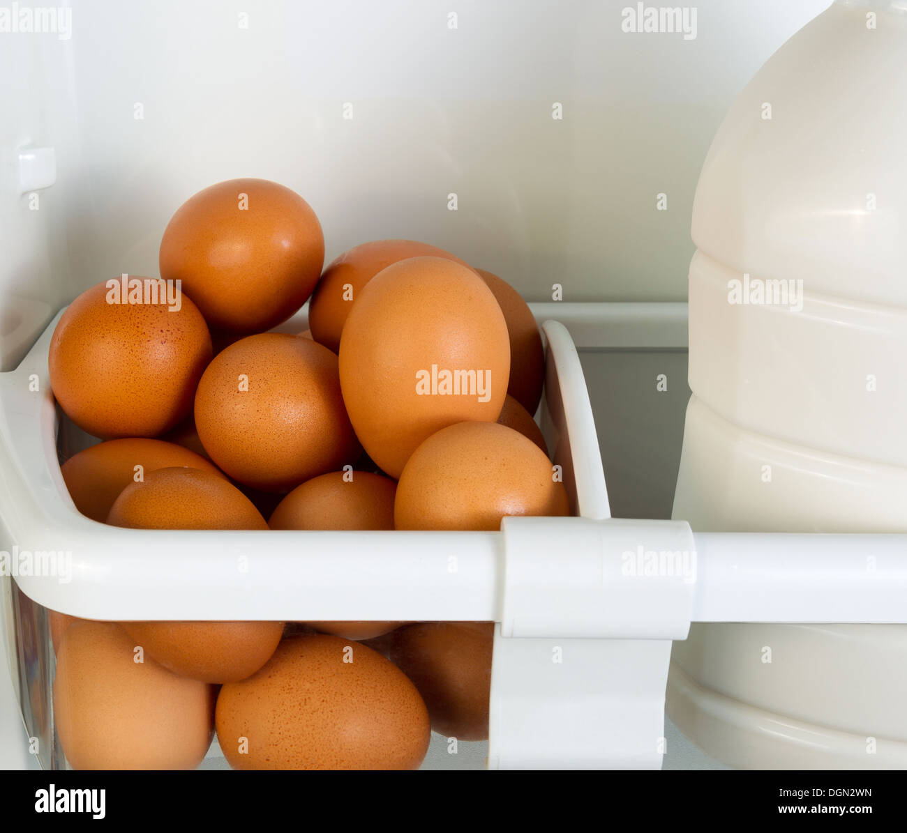 Closeup photo of Fresh brown organic eggs and partial milk container on inside of refrigerator door shelf Stock Photo