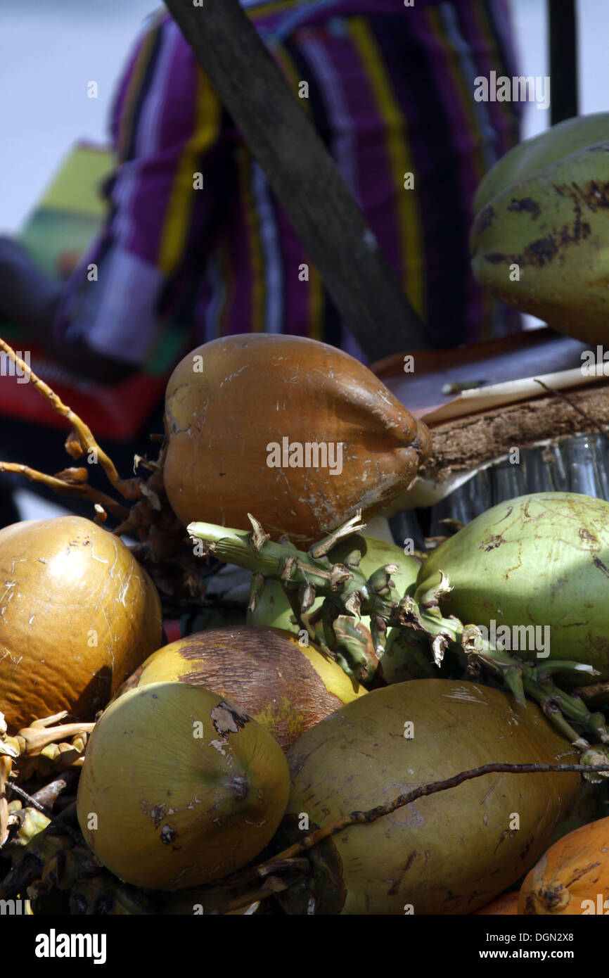 KING COCONUTS FOR SALE GALLE SRI LANKA 17 March 2013 Stock Photo