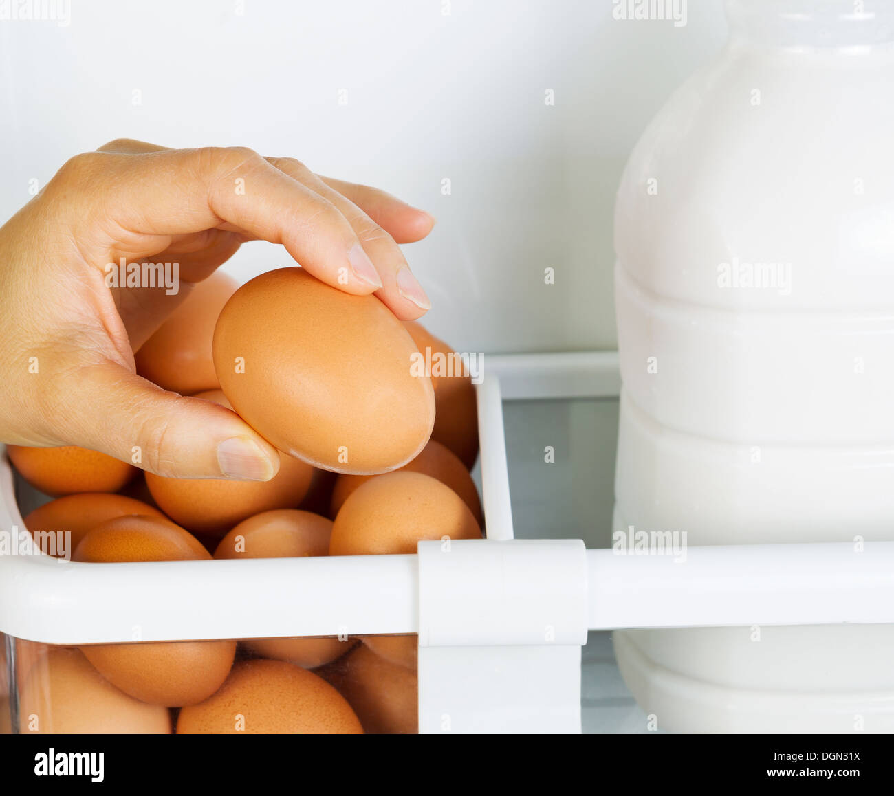 Photo of female hand selecting fresh brown organic egg with partial milk container on inside of refrigerator door shelf Stock Photo
