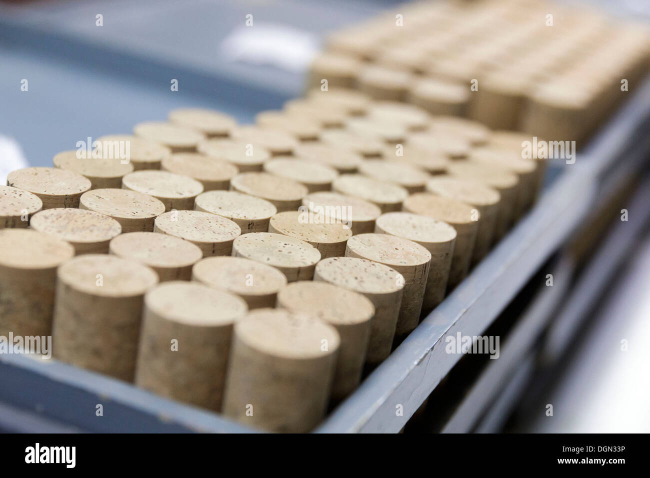 Corks seen in a bottles cork factory in Spain Stock Photo Alamy