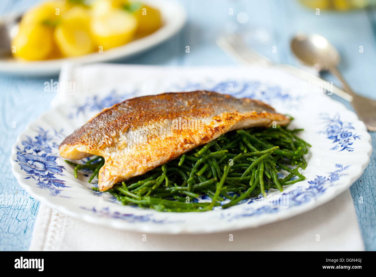 Sea bass on samphire bed Stock Photo Alamy