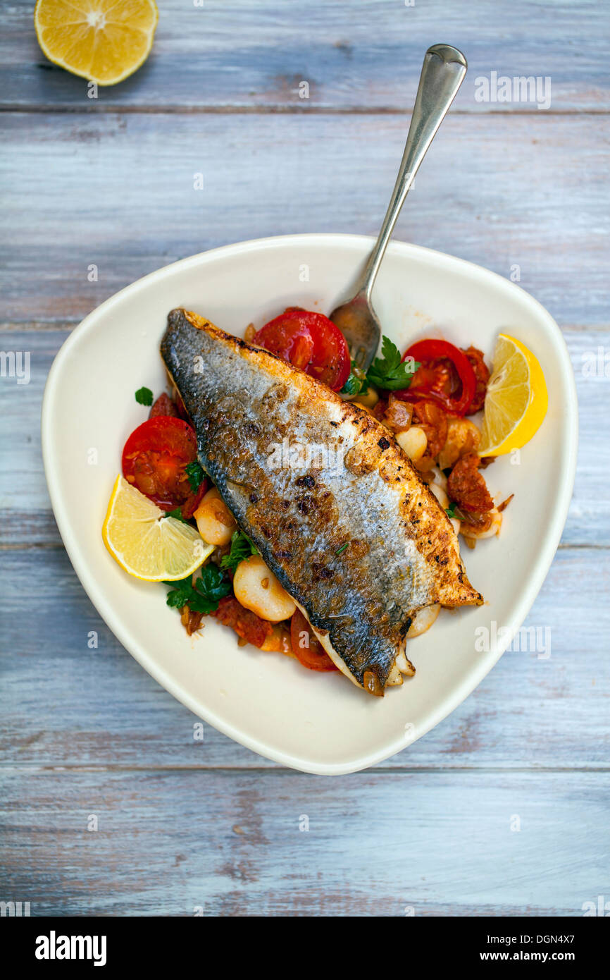 Pan fried sea bass with butter bean and chorizo salad Stock Photo