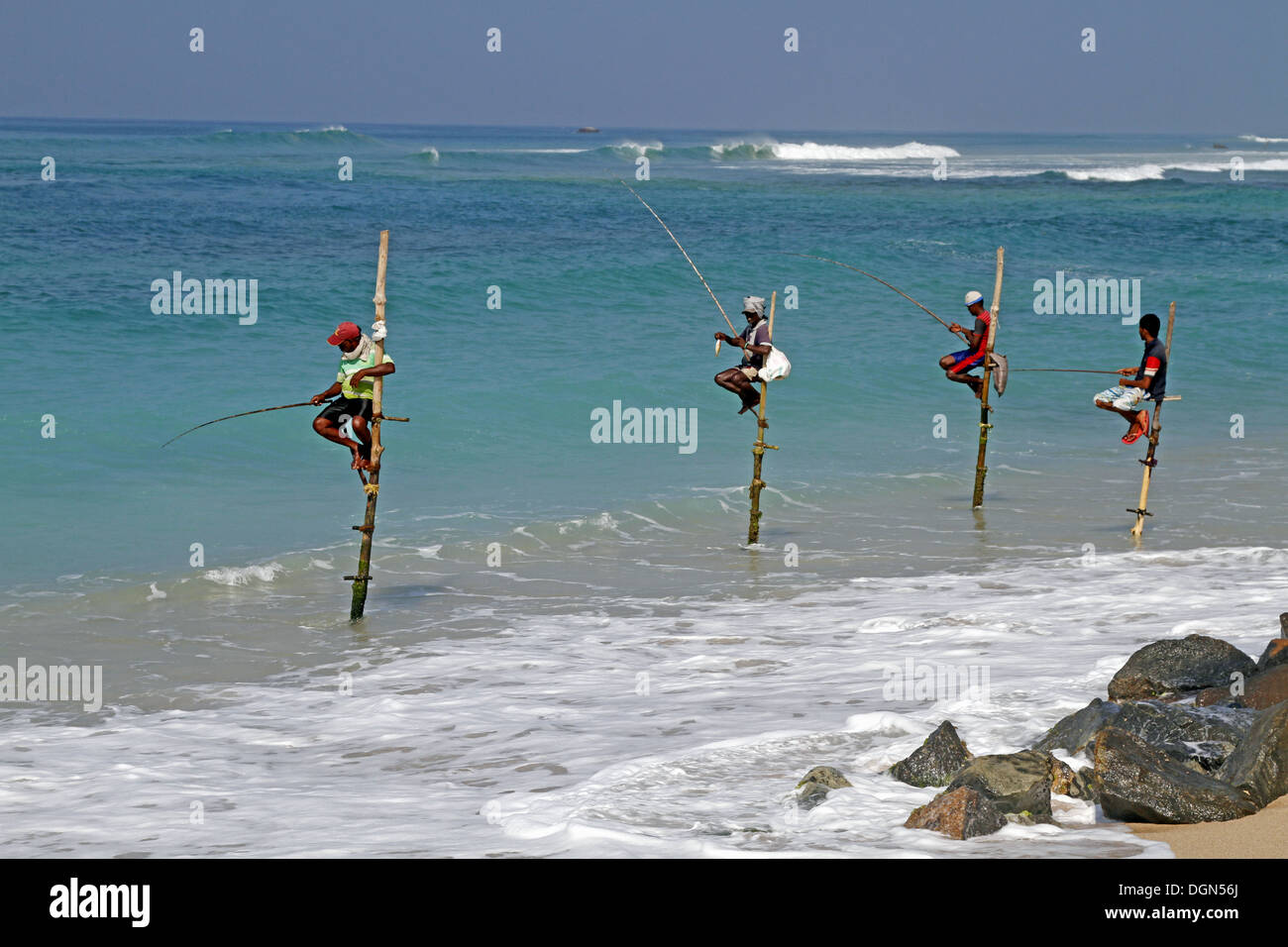 Indian stilt hires stock photography and images Alamy