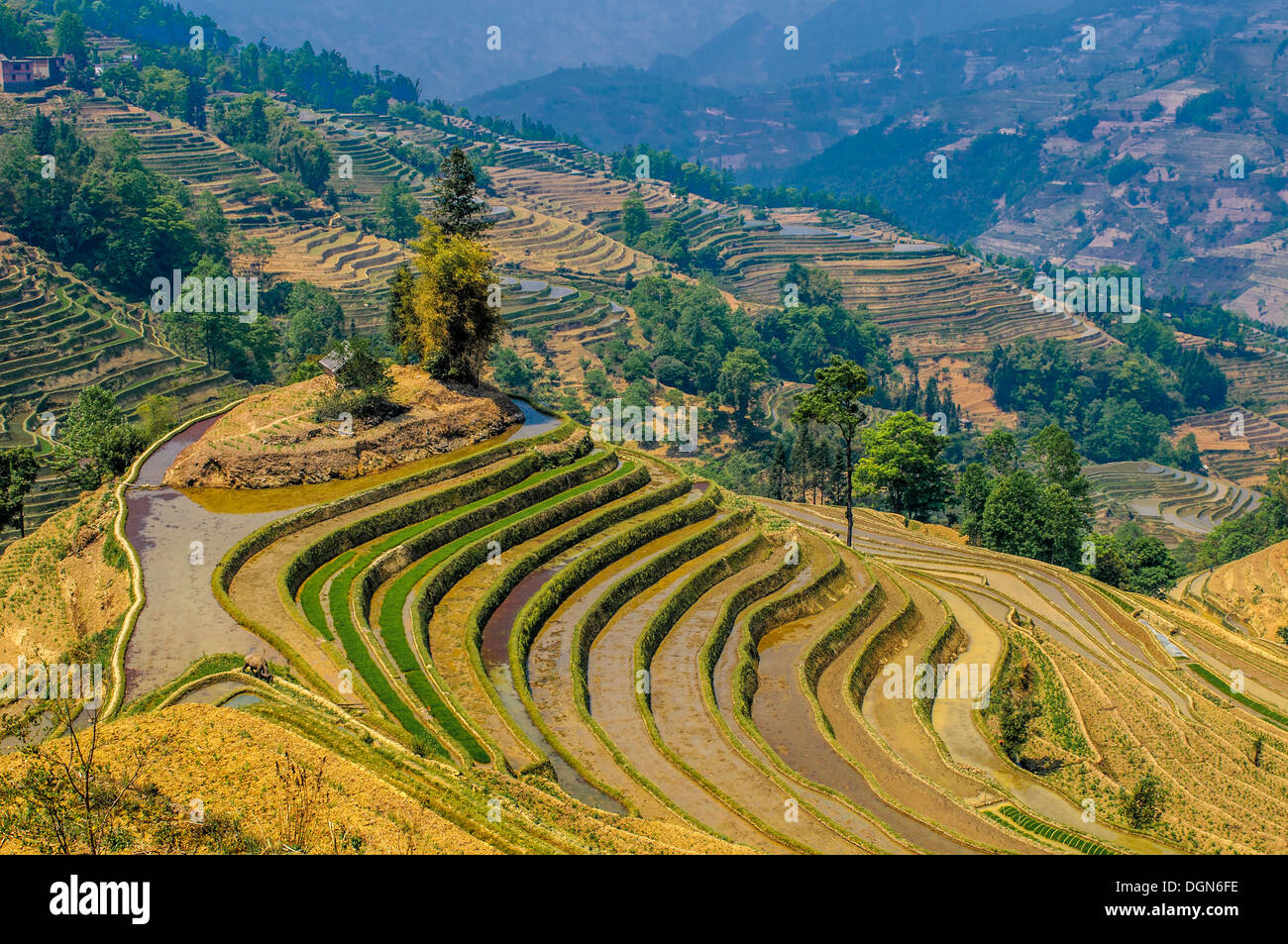 Rice terraces of Yuanyang, Yunnan, China Stock Photo