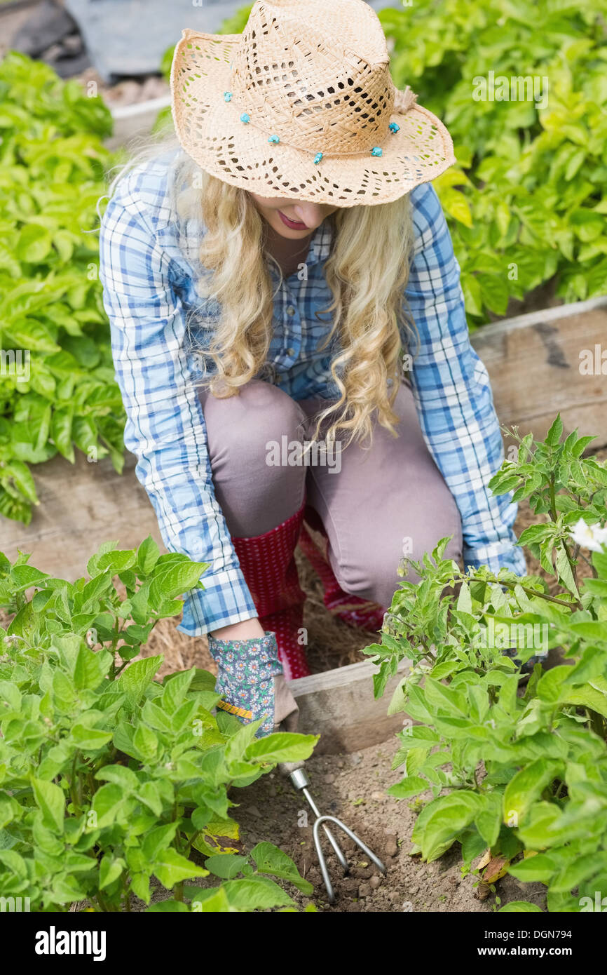 Young woman working in the garden Stock Photo - Alamy