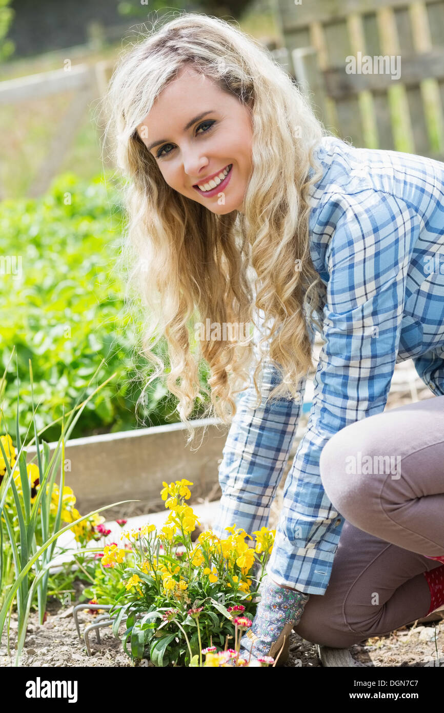 Blonde woman planting yellow flowers smiling at camera Stock Photo
