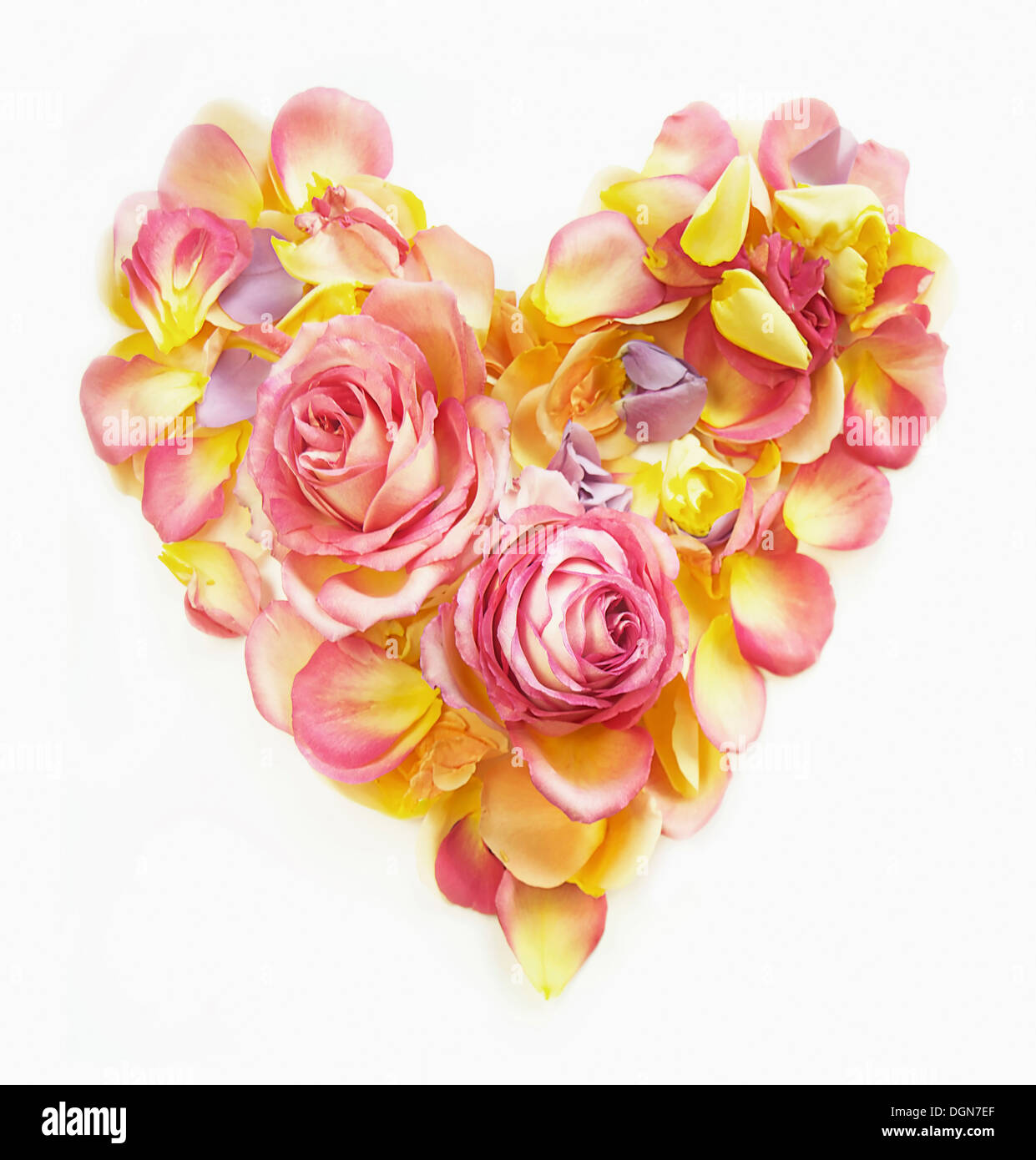 Heart made of rose petals Stock Photo Alamy