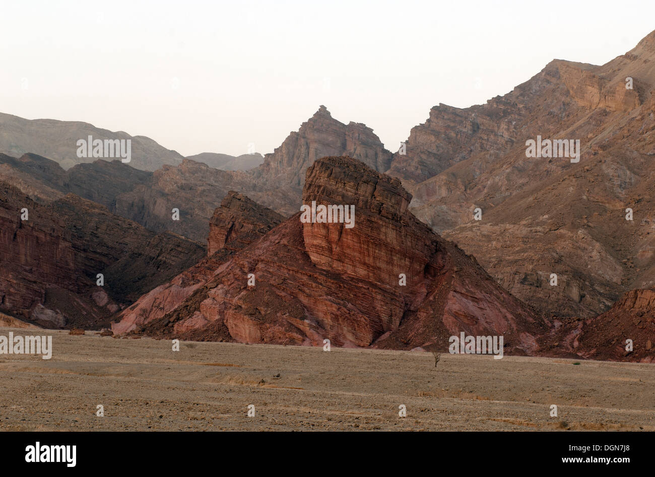 Relic sandstone formation in the Negev Desert Stock Photo - Alamy