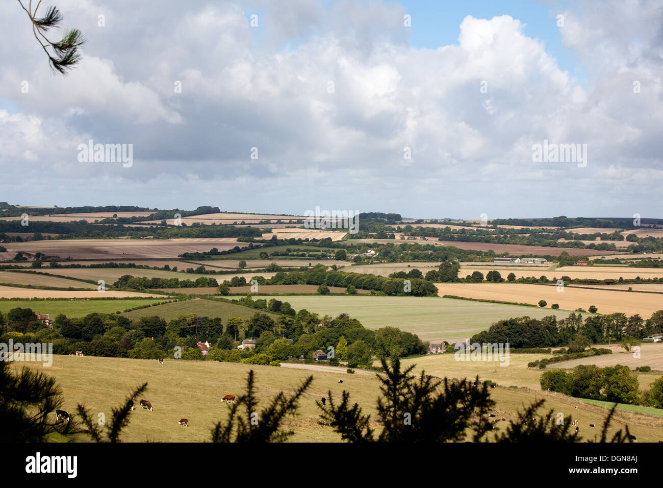 The view west from Penbury Knott Hill Fort on Pentridge Hill The Dorset Downs near Cranborne Dorset England Stock Photo