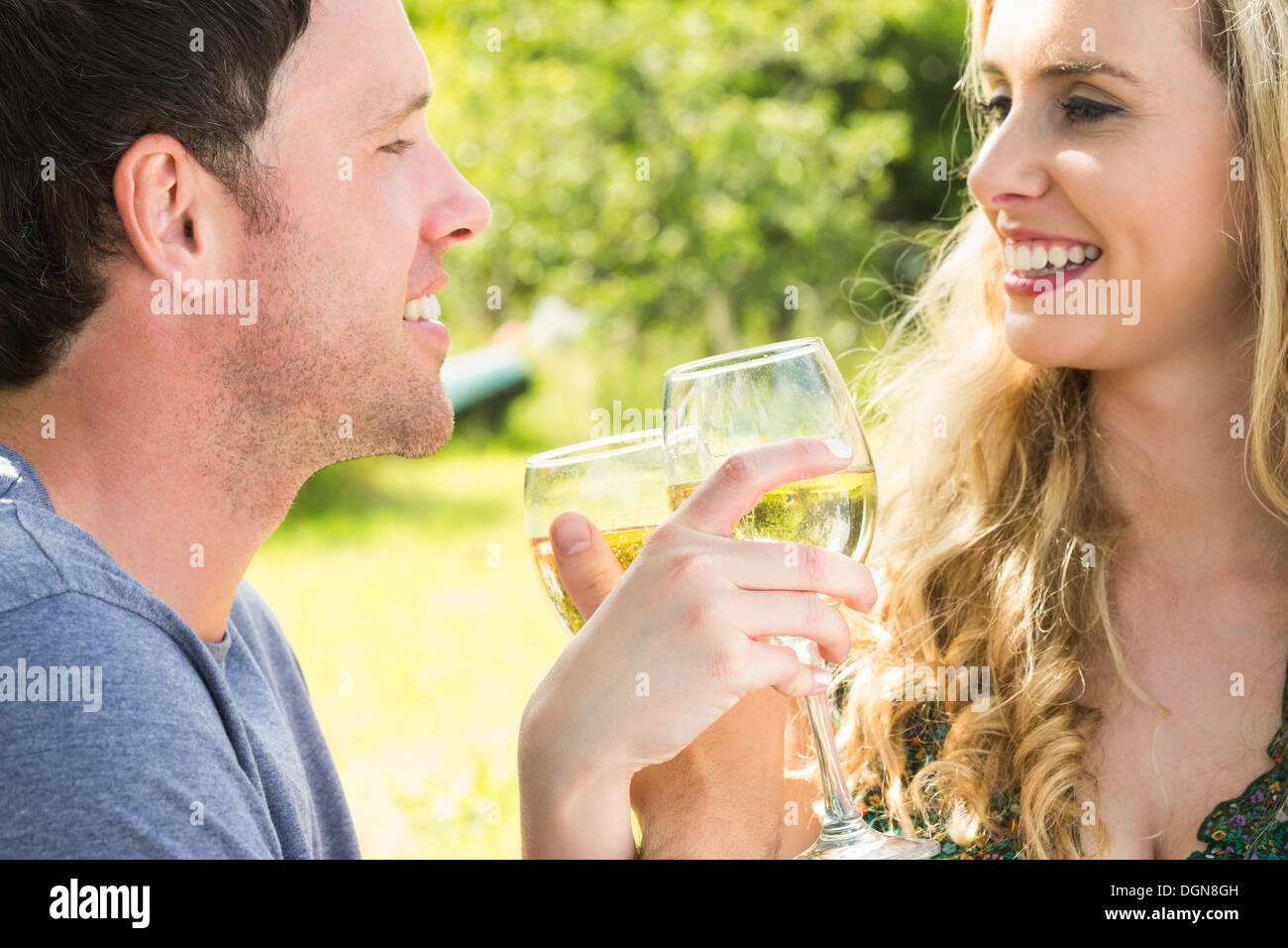 Young couple toasting and linking arms Stock Photo