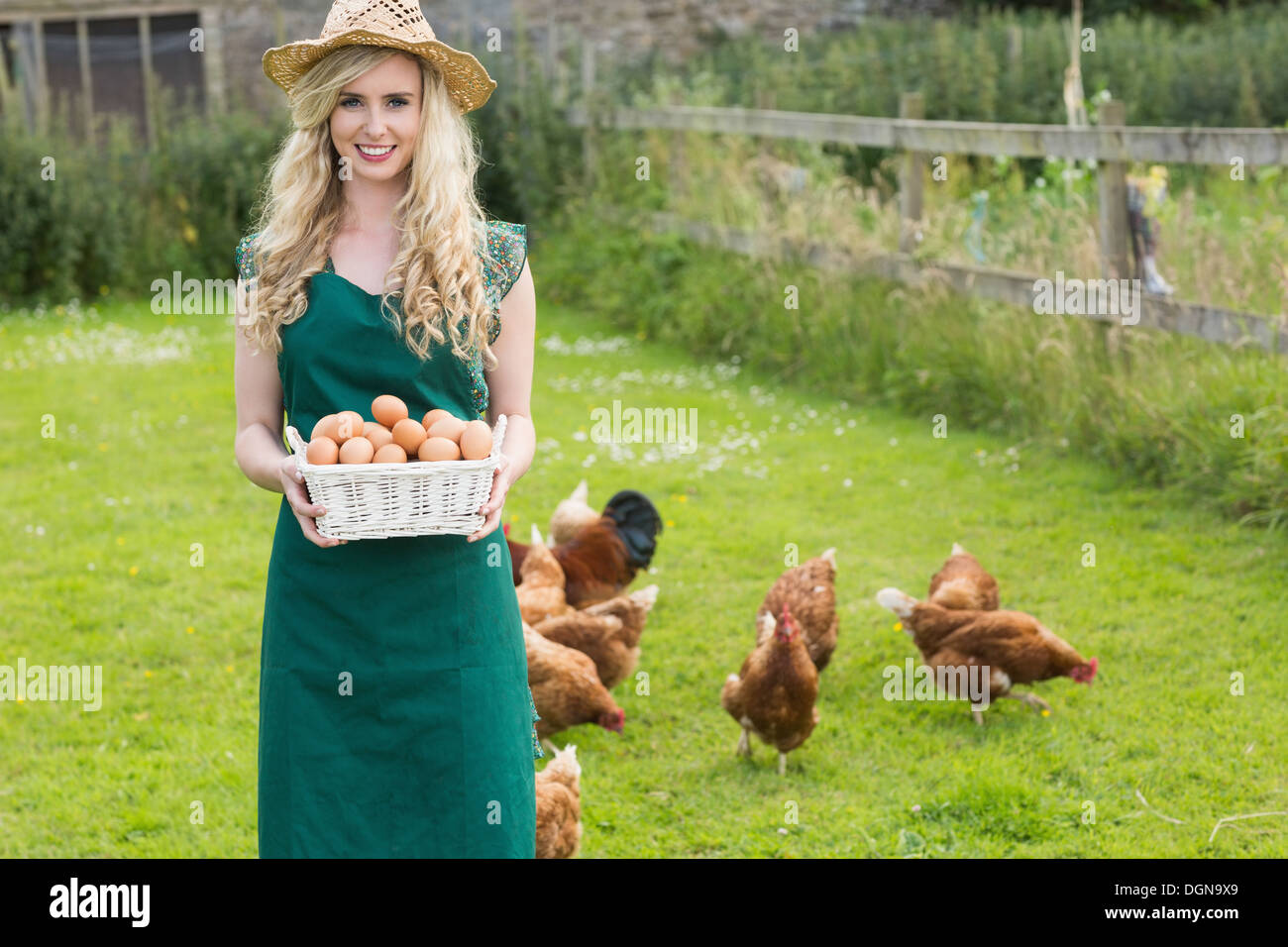 A woman gathering fresh eggs into basket at hen farm in countrys
