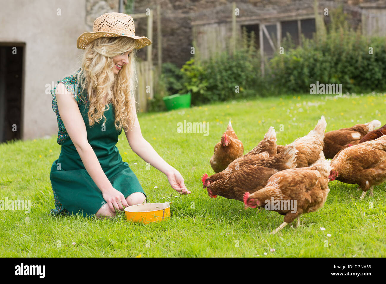 Young pretty blonde feeding her chickens Stock Photo