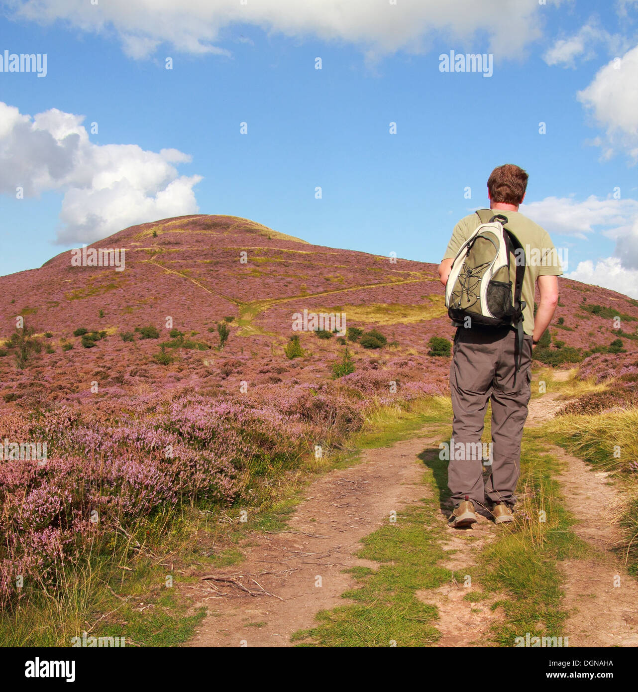 Caucasian Male Walker Walking Uphill to Eildon Hill North, Eildon Hills