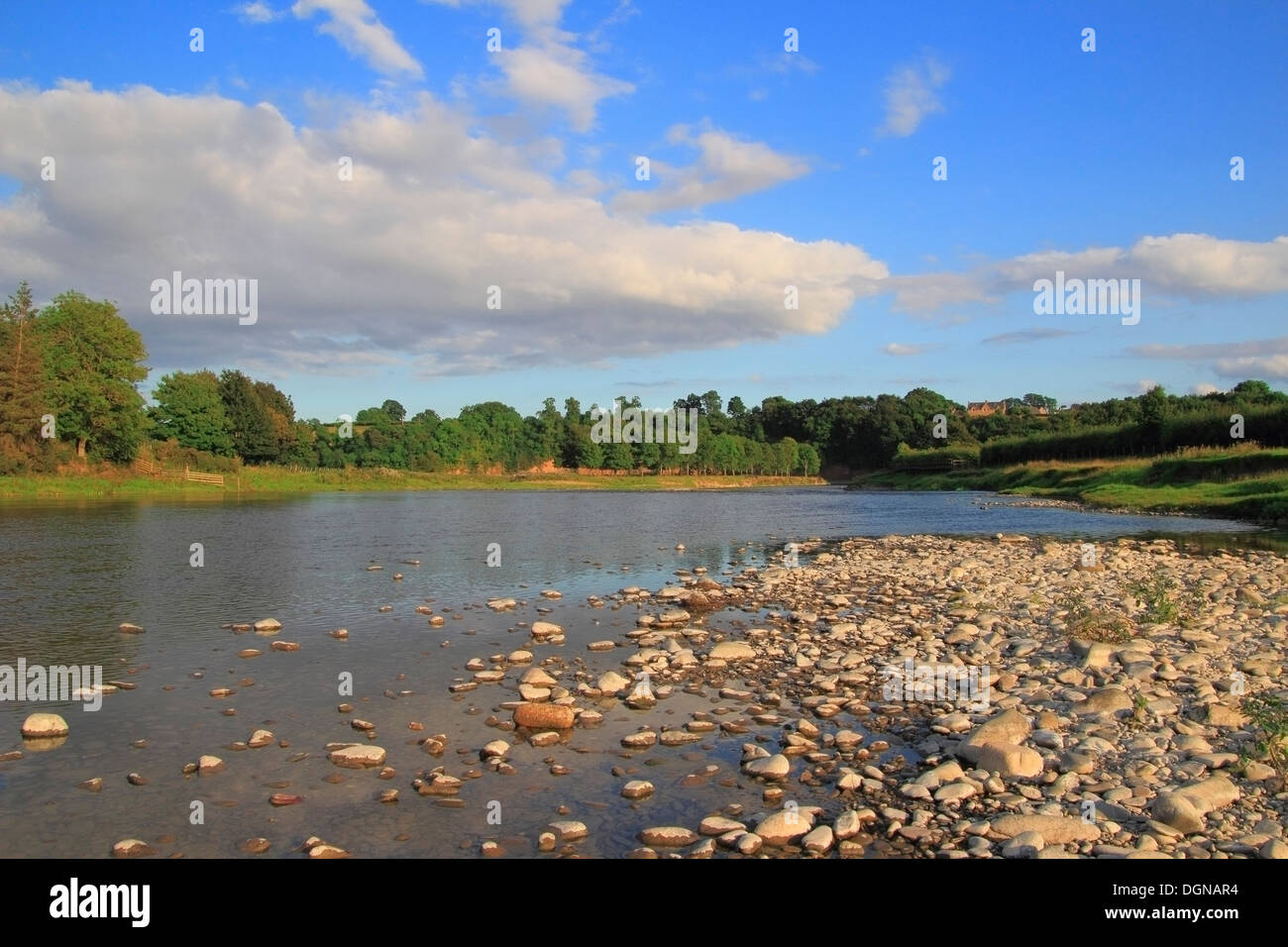 River Tweed, Tweeddale, Nr Newstead, Borders County, Scotland, UK Stock