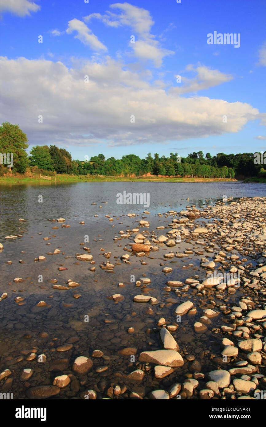 River Tweed, Tweeddale, Nr Newstead, Borders County, Scotland, UK Stock Photo Alamy