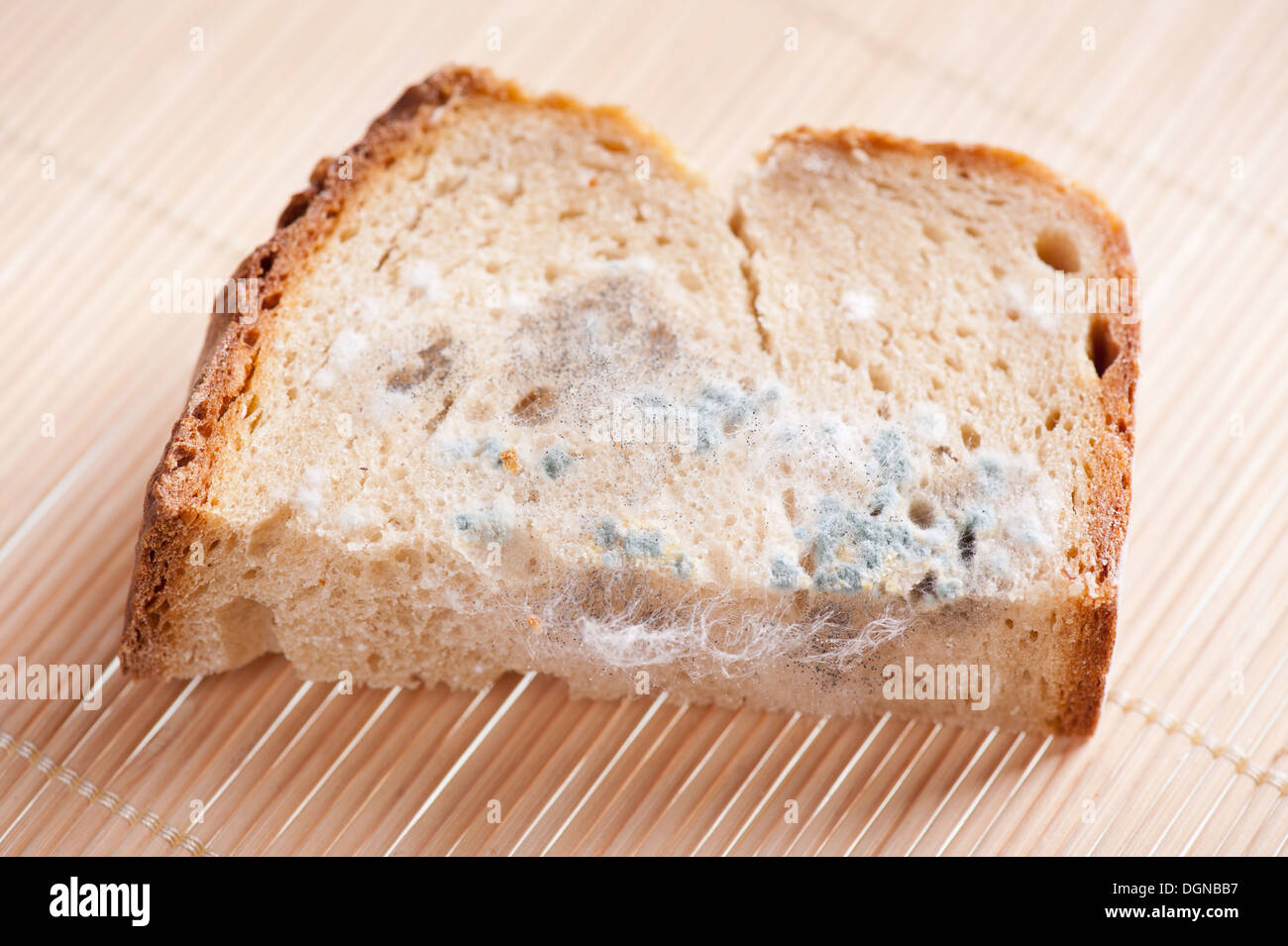 Mould bread spores hires stock photography and images Alamy