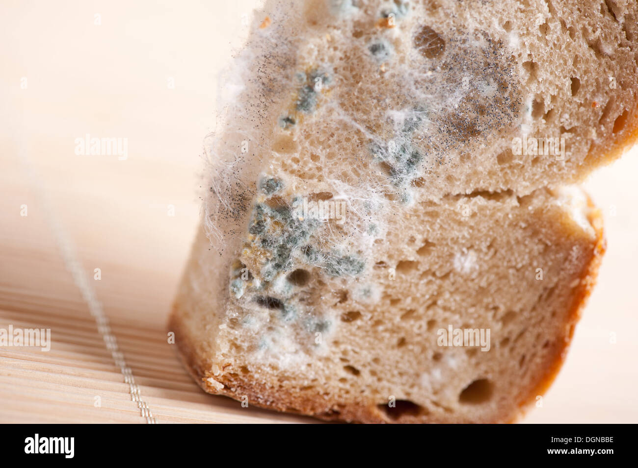 Mould bread spores hires stock photography and images Alamy
