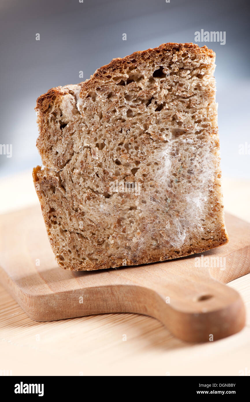 Single moldy bread portion Stock Photo