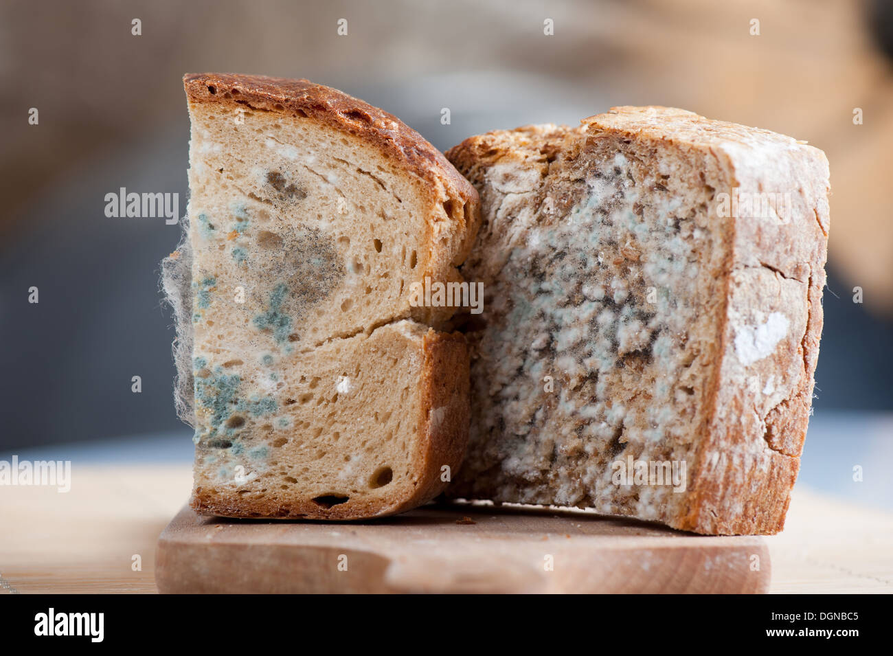 Two moldy bread portions Stock Photo