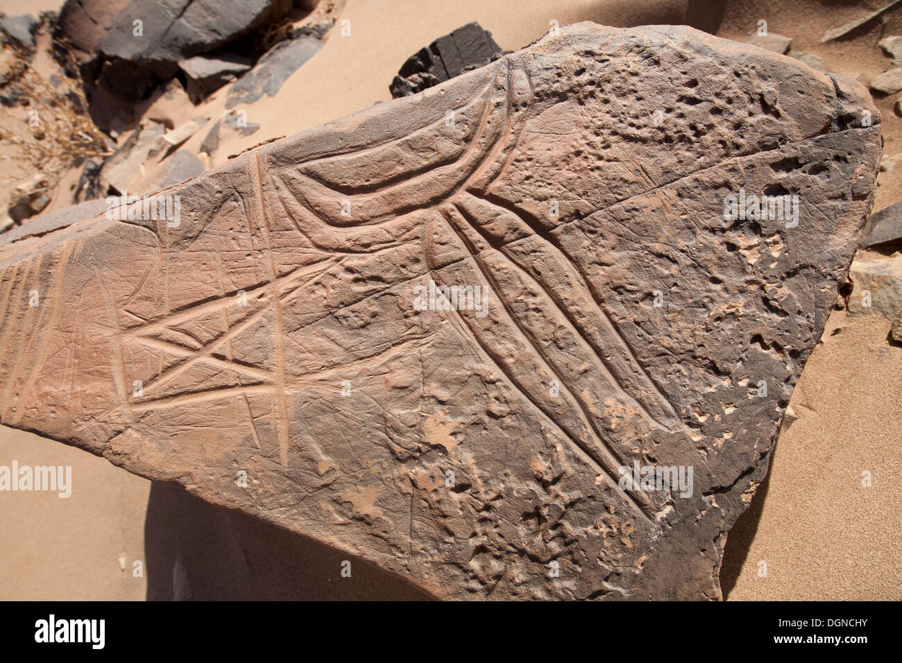 Prehistoric rock carvings at Oued Mestakou on the Tata to Akka road in Morocco. rock-art Stock Photo