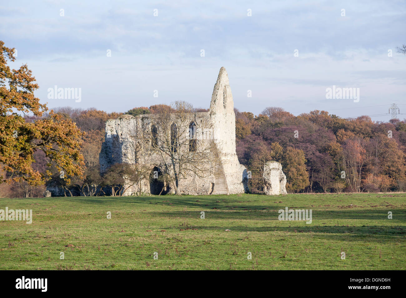 Ruin ruined abbey surrey monument hires stock photography and images
