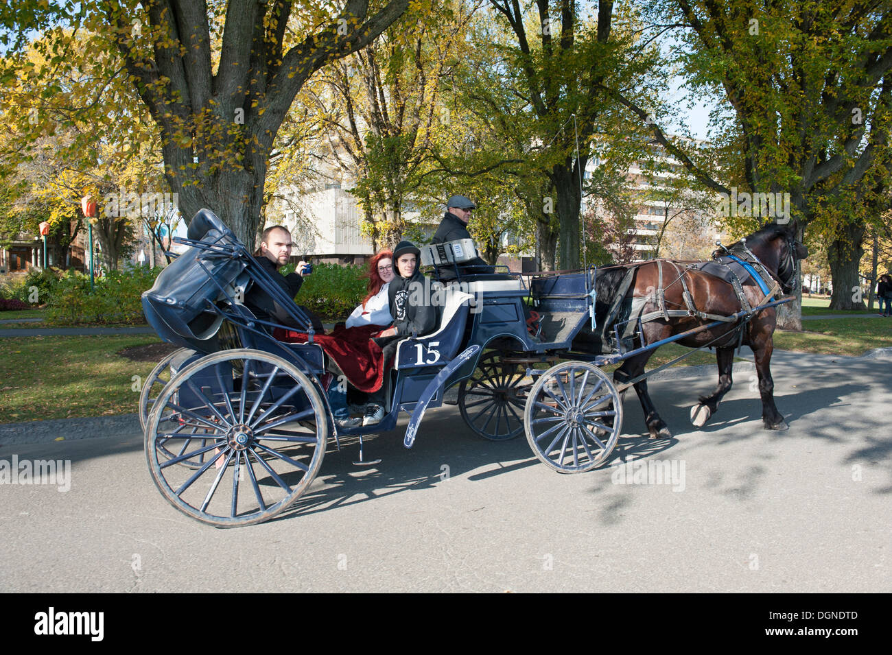 Horse drawn carriage old quebec quebec hires stock photography and