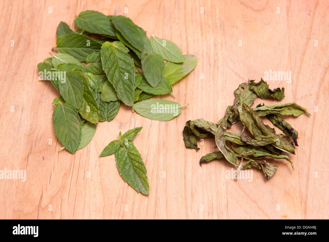 Dried peppermint hires stock photography and images Alamy