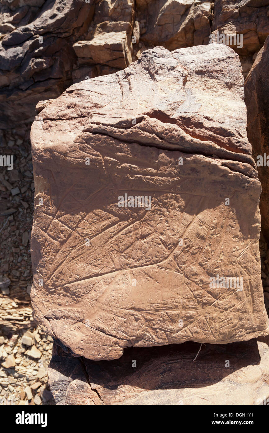 Prehistoric rock carvings at Oued Mestakou on the Tata to Akka road in Morocco. rock-art Stock Photo