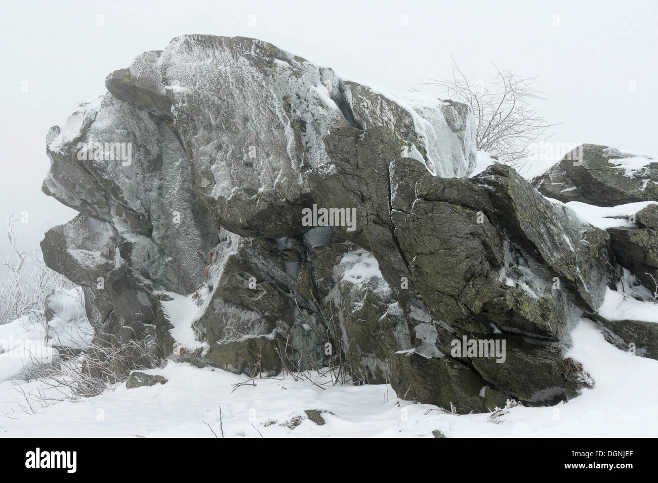 Brunhildis Rock, in which, according to the Nibelungen, Brunhilde was trapped, in winter, Grosser Feldberg, Upper Taunus, Taunus Stock Photo