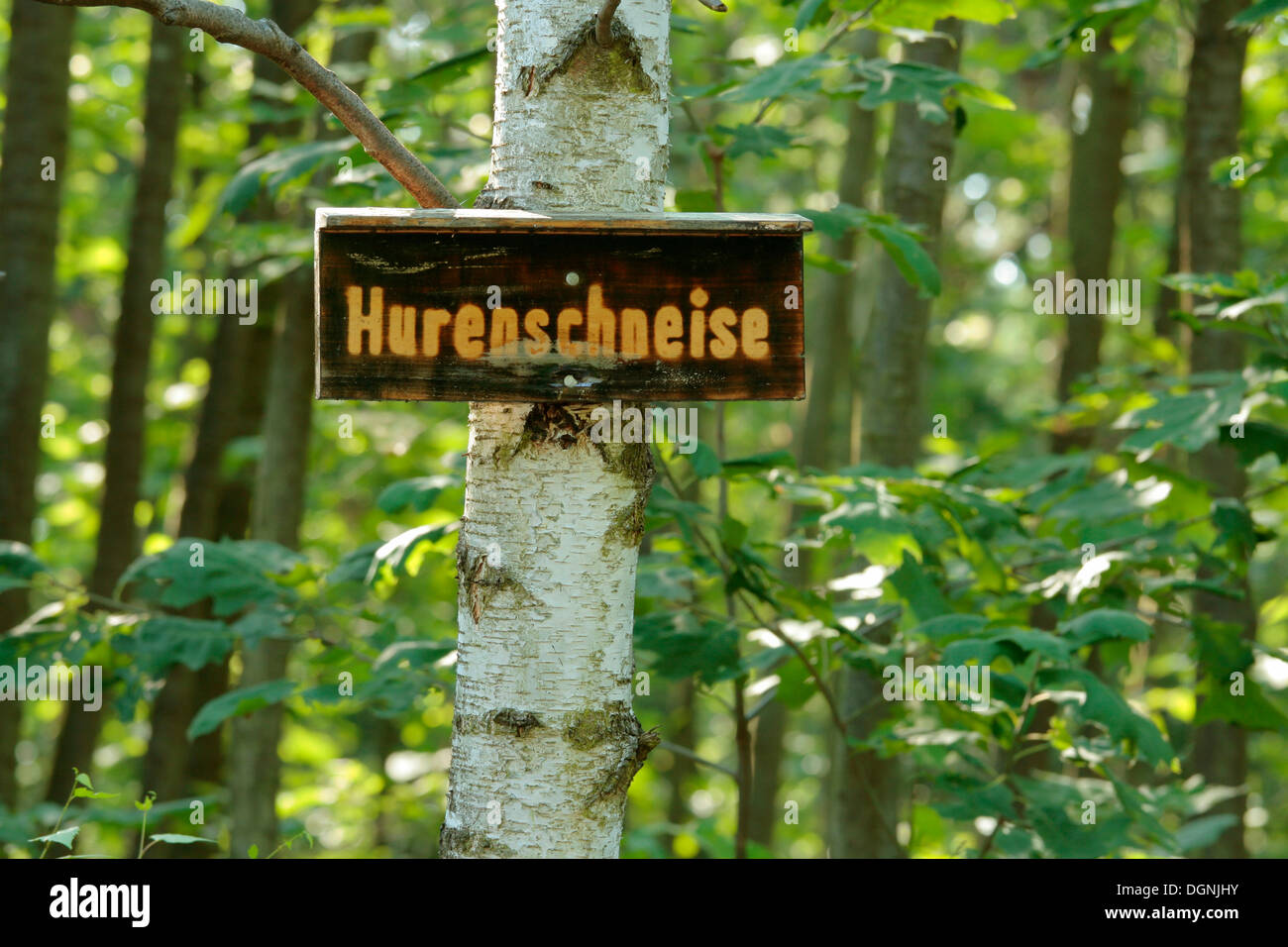 Official street sign Hurenschneise, German for whore's path in the woods near Zeppelinheim, Neu-Isenburg, Offenbach district Stock Photo