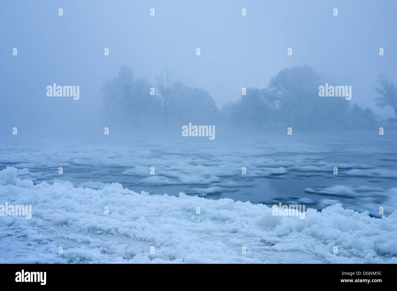 Snow and ice floes on the Elbe River on a cold winter morning, near Dessau-Rosslau, Saxony-Anhalt Stock Photo