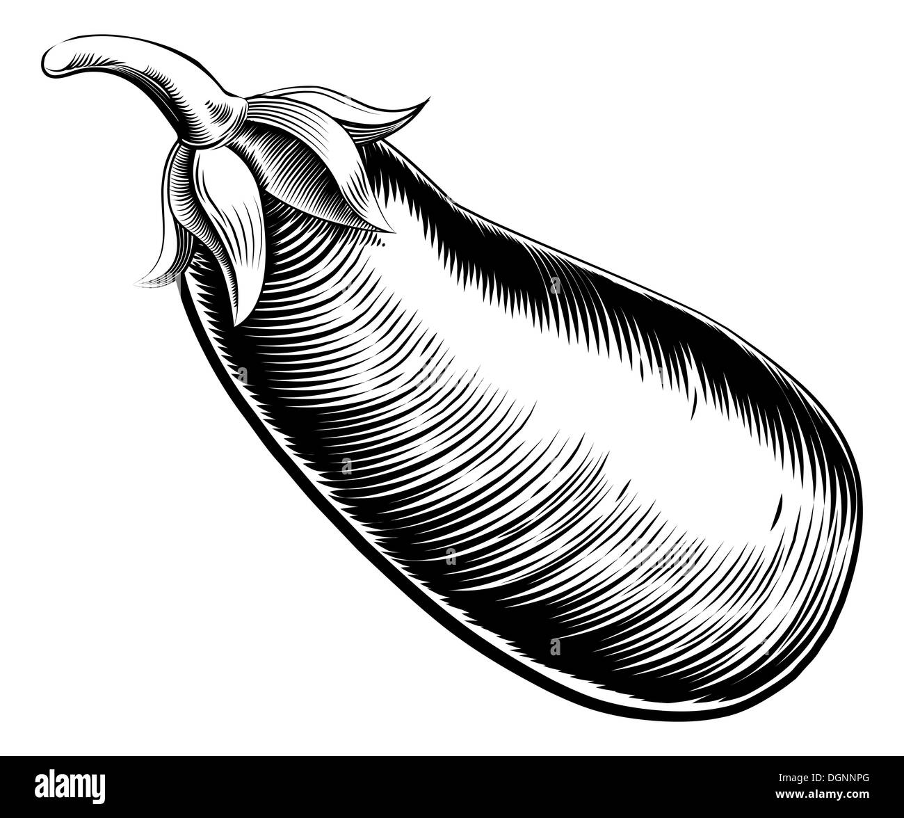 Eggplant Plant Clipart Black And White