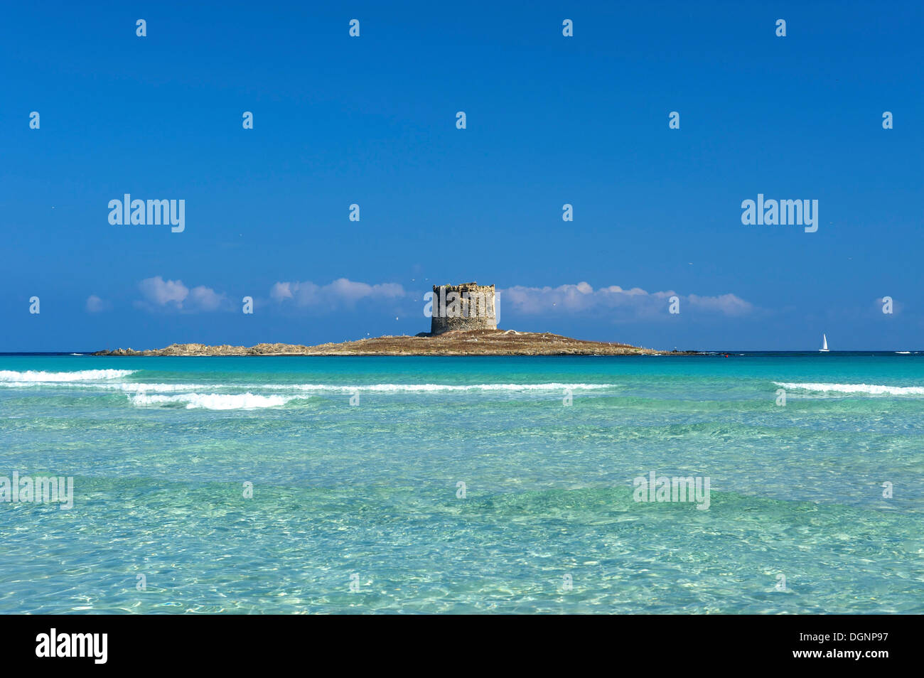 Torre della Pelosa tower, Sardinia, Italy, Europe Stock Photo