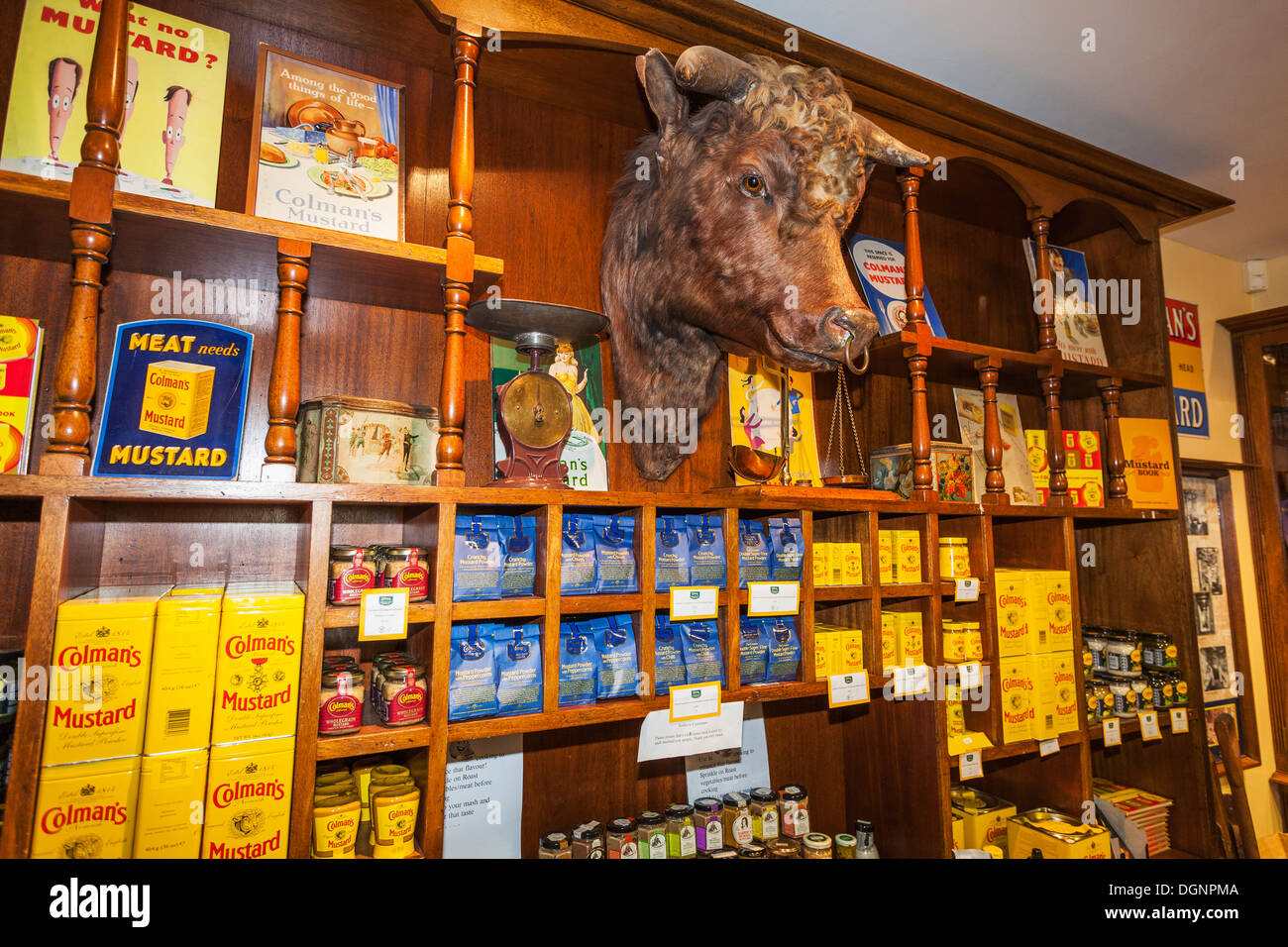 England, East Anglia, Norfolk, Norwich, The Royal Arcade, Coleman's