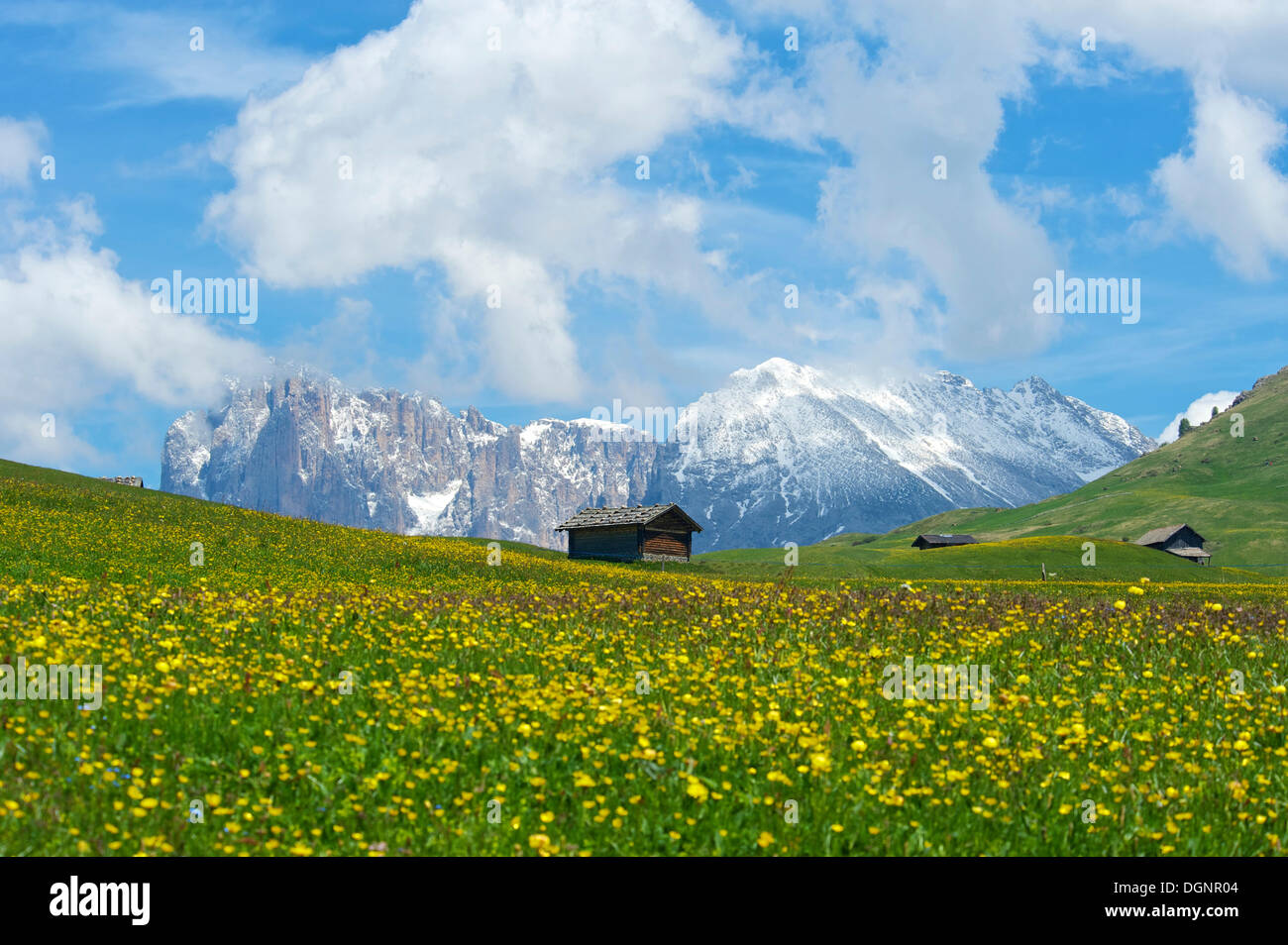 Alpine huts in front of Piatto Mountain and Sasso Lungo Mountains, Seiser Alm, Dolomiten, South Tyrol province Stock Photo