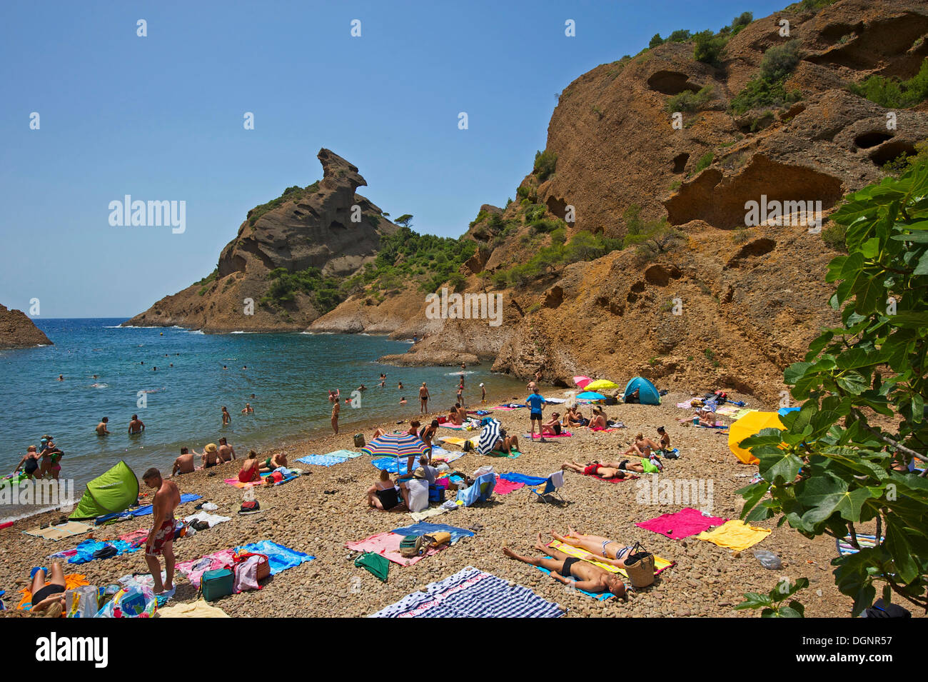 Tourists On The Beach Calanque De Figuerolles La Ciotat D partement tourists-on-the-beach-calanque-de-figuerolles-la-ciotat-d-partement