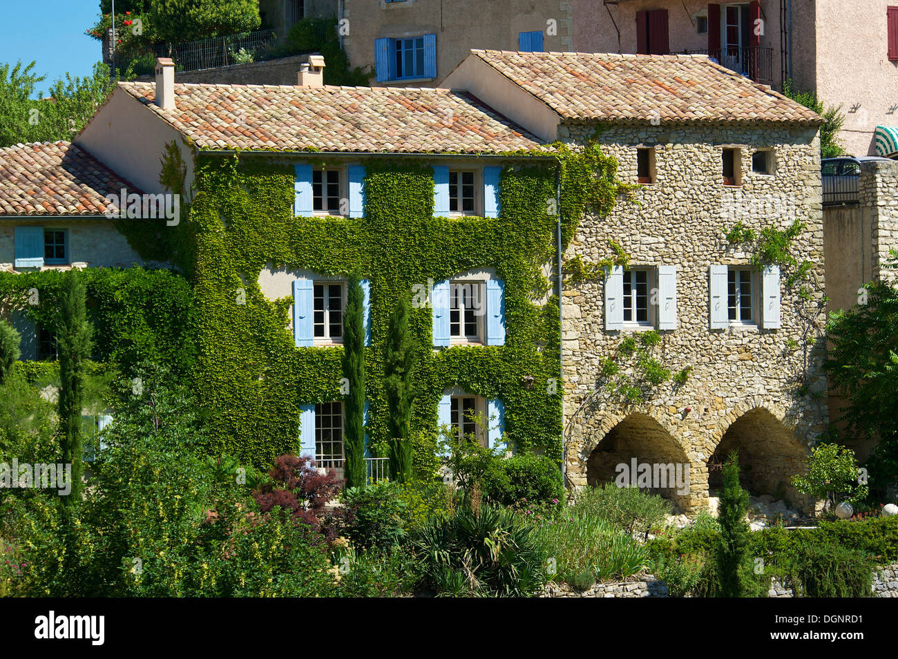 Ivy-covered house in a village, Provence, Aurel, Département Vaucluse, Provence-Alpes-Côte d’Azur, France Stock Photo