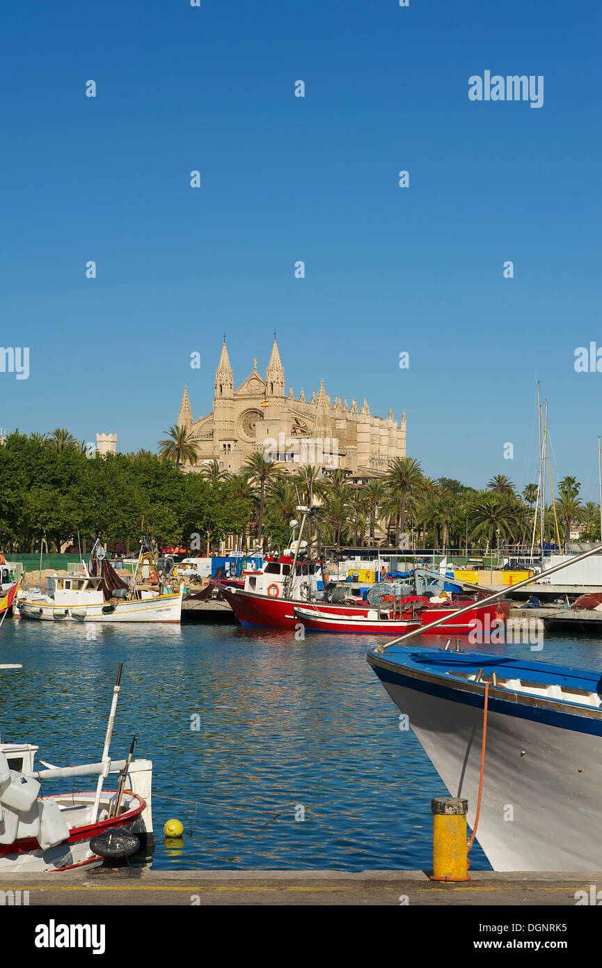 Cathedral La Seu and the fishing port, Palma de Mallorca, Majorca, Balearic Islands, Spain Stock Photo