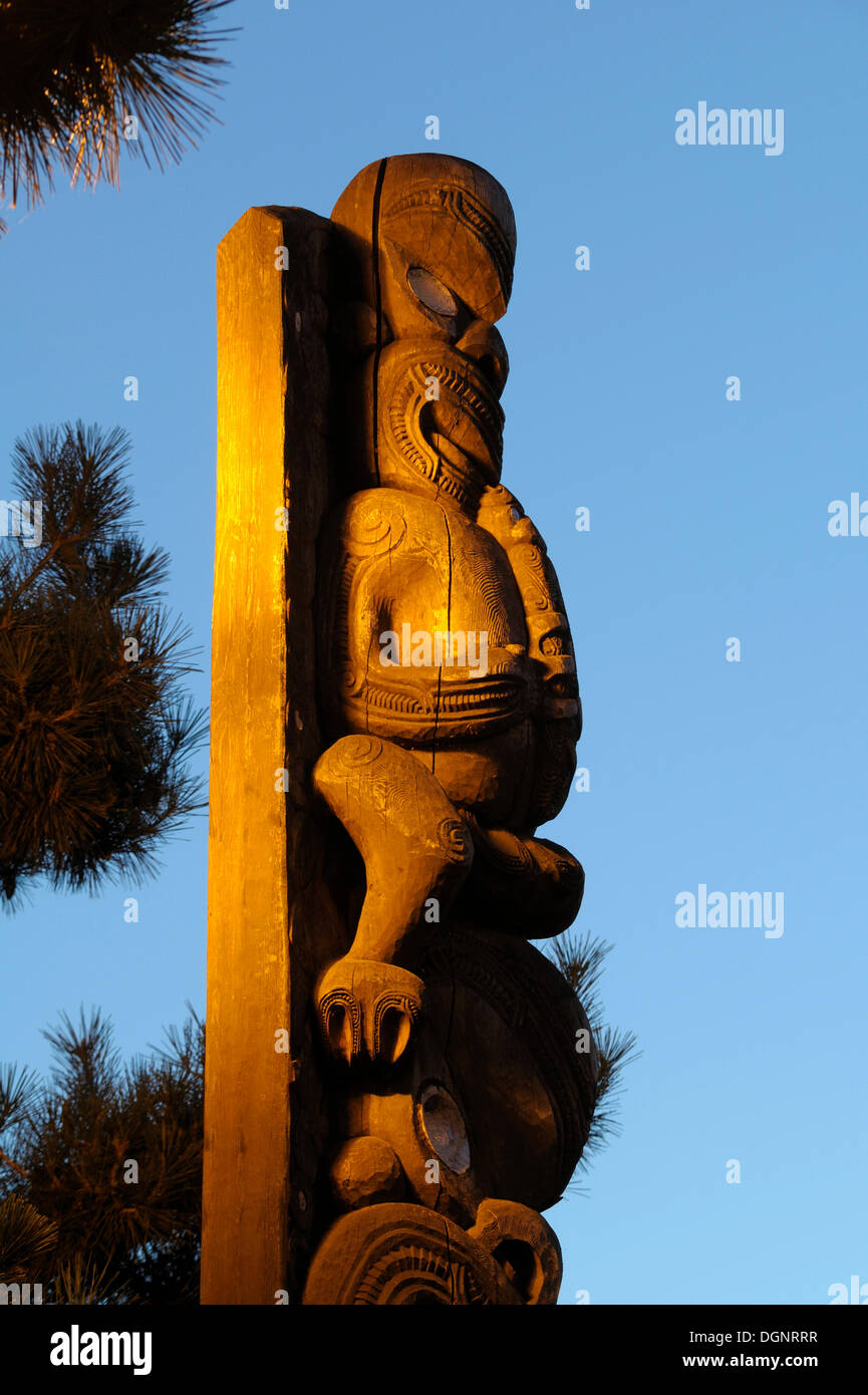 Tane Hiira Pou Karanga, Te Awhio Whio, The Welcoming Spirit Of Sound Above Tane Hiira, The King Of The Cedar Forest by Tupari Stock Photo
