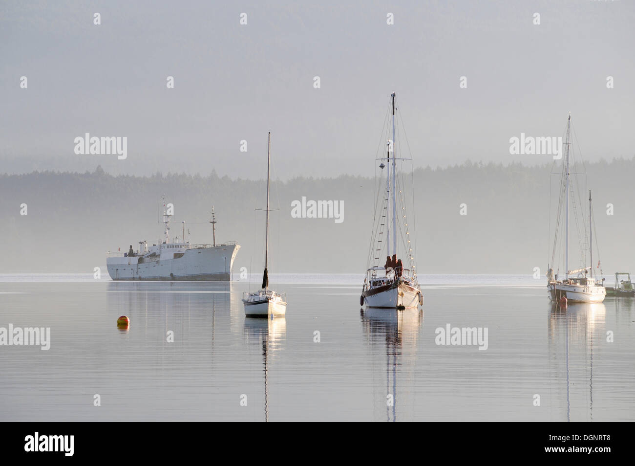 Boats at anchor, Cowichan Bay, Vancouver Island, British Columbia, Canada Stock Photo